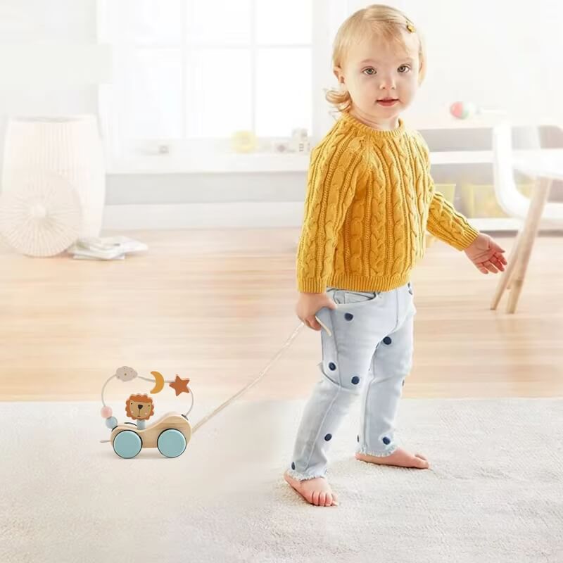 Wooden Pull Toy with Lion and Activity Loop