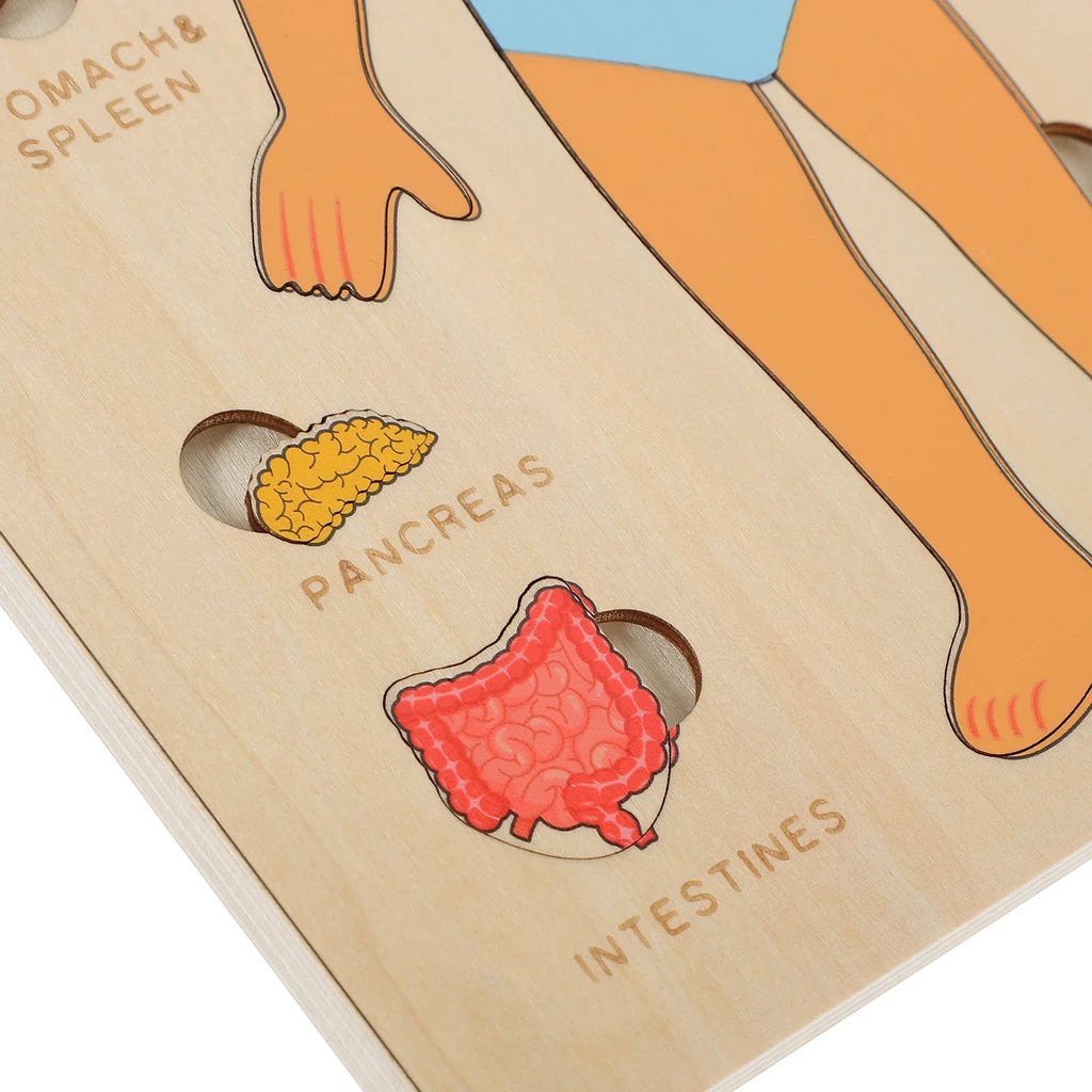 Human Body Puzzle, Wooden Educational Anatomy Toy