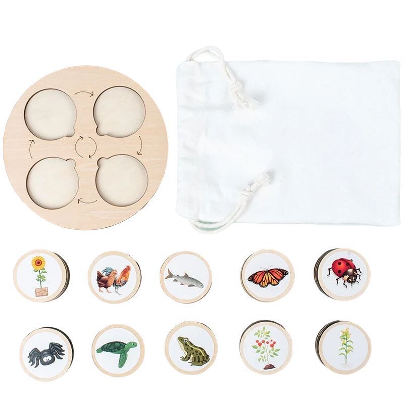 Life Cycle Learning Toy with Wooden Board and Stickers