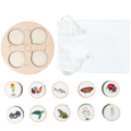 Life Cycle Learning Toy with Wooden Board and Stickers
