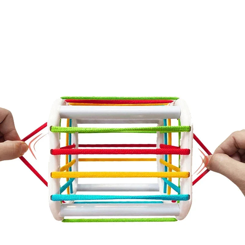 Shape Sorter Toy with Textured Blocks and Elastic Bands