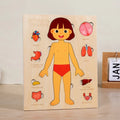 Human Body Puzzle, Wooden Educational Anatomy Toy
