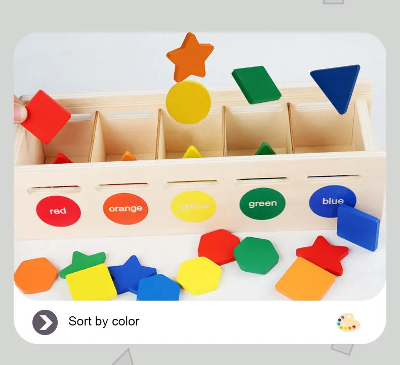 Shape Sorter Toy with Color Recognition and Cards