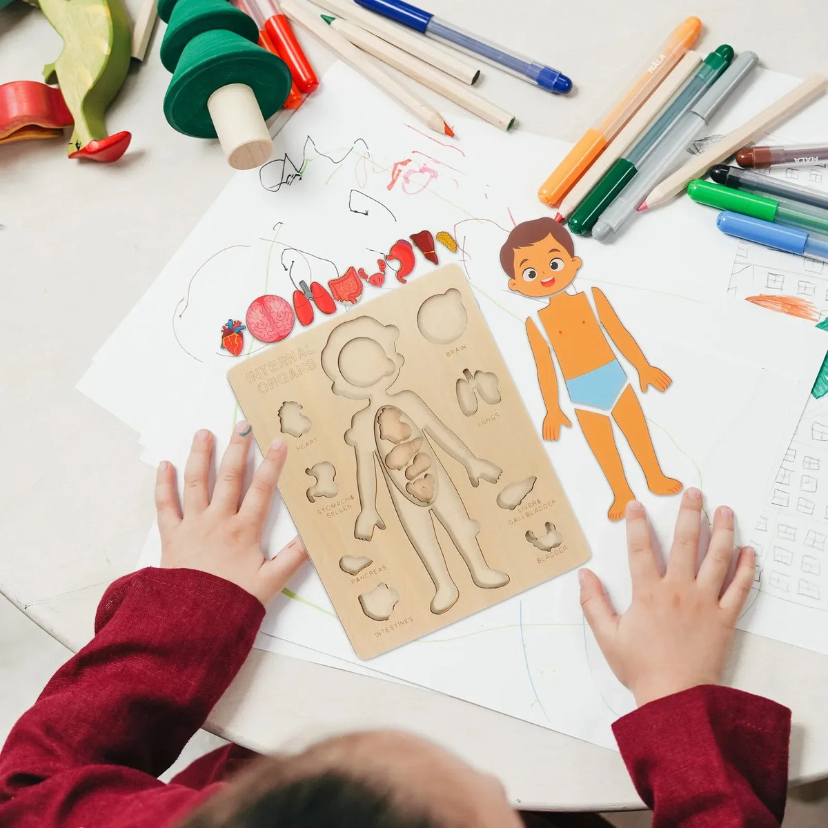 Human Body Puzzle, Wooden Educational Anatomy Toy
