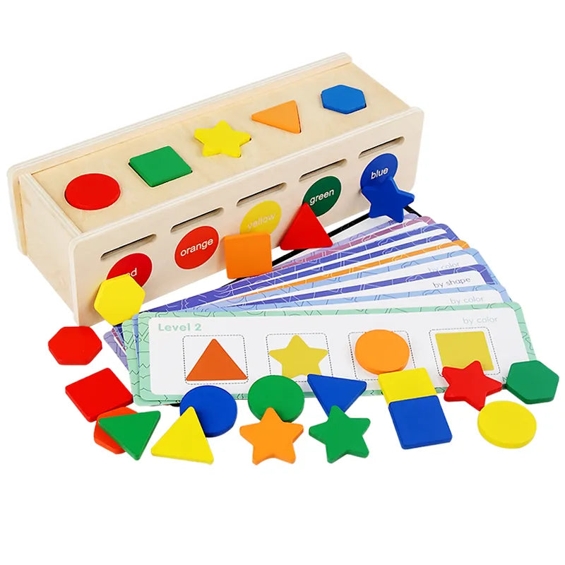 Shape Sorter Toy with Color Recognition and Cards