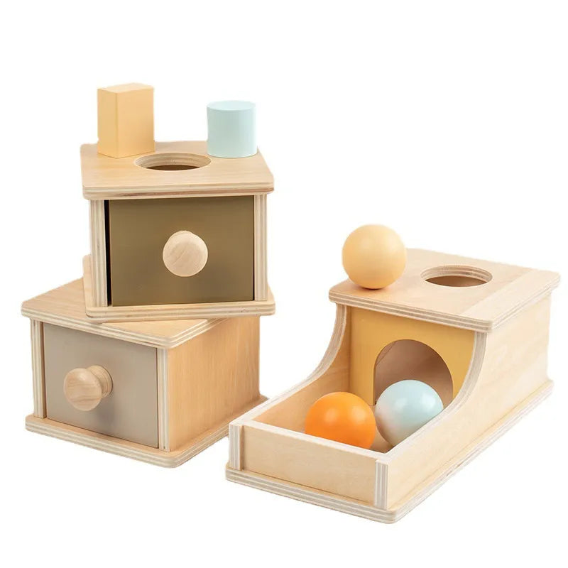 Wooden Object Permanence Box Set with Multiple Activities