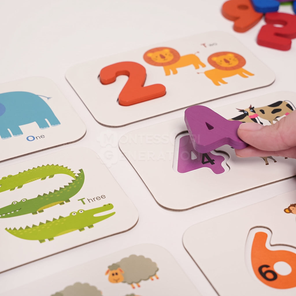 Alphabet Matching Cards with Wooden Letters and Numbers