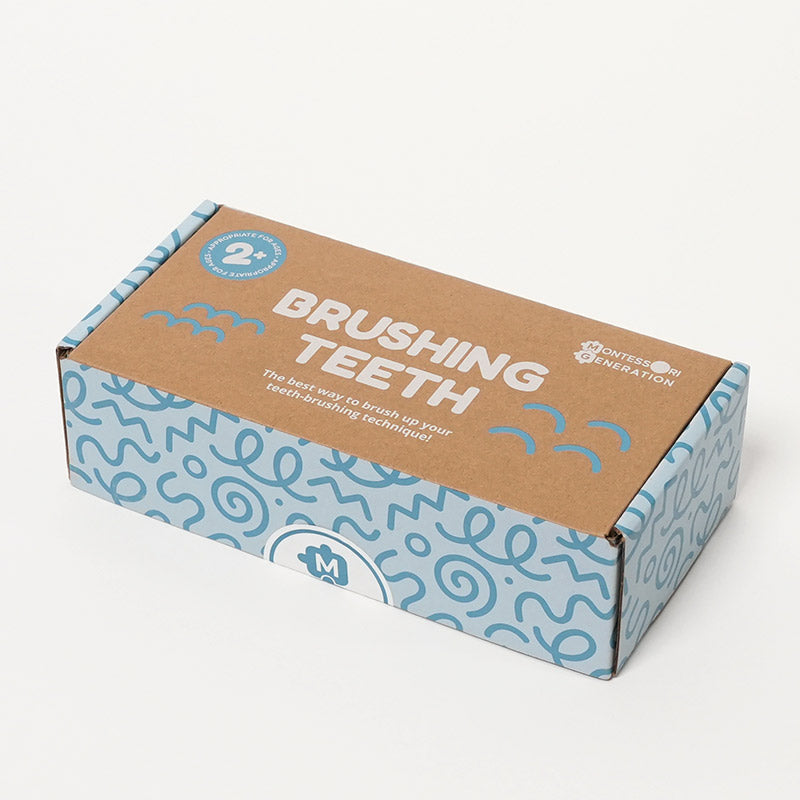 Dental Teaching Model with Toothbrush for Hygiene Learning