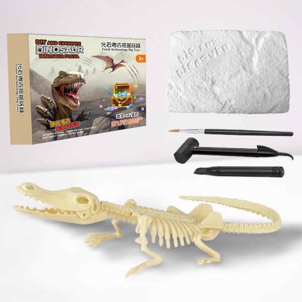 Dinosaur Excavation Kit with Fossil Dig Tools