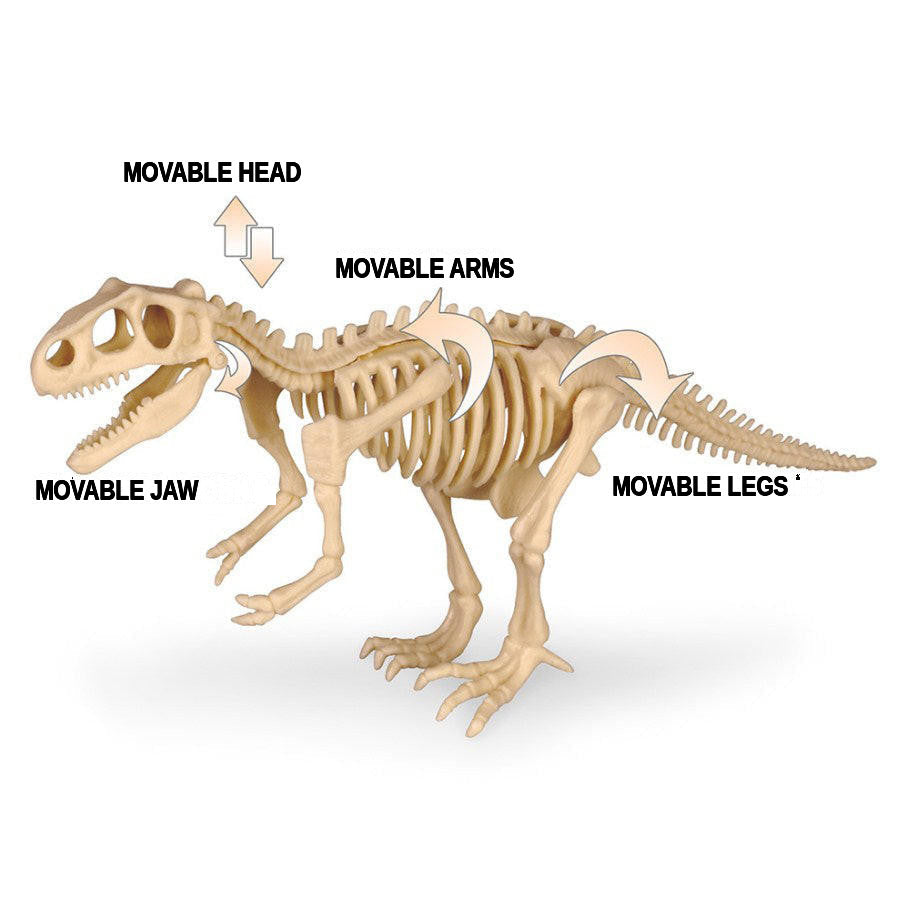 Dinosaur Excavation Kit with Fossil Dig Tools
