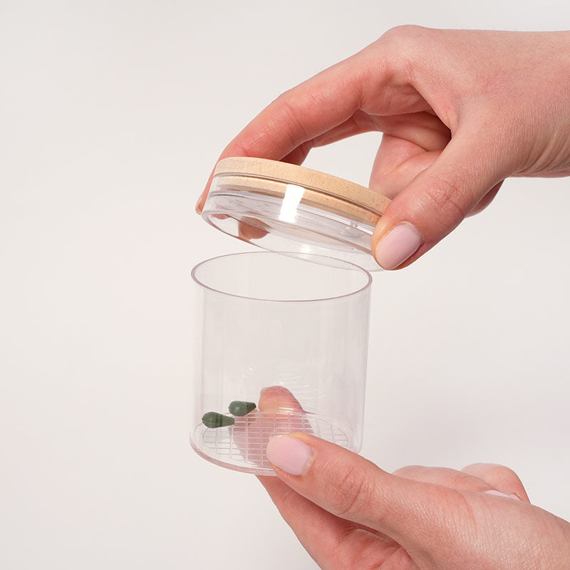 Nature Exploration Kit with Observation House and Tools