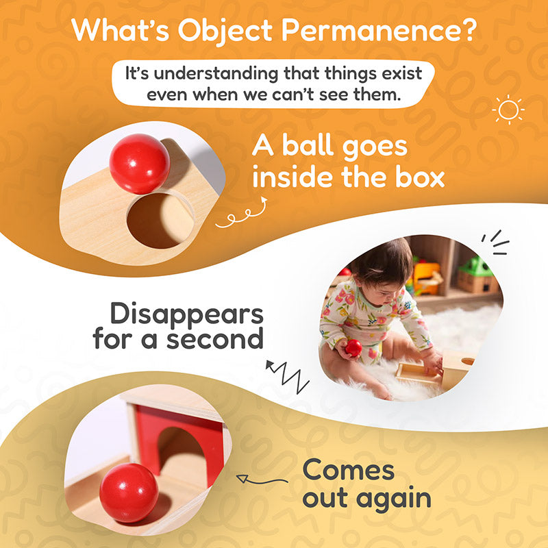 Object Permanence Box with Wooden Ball and Tray