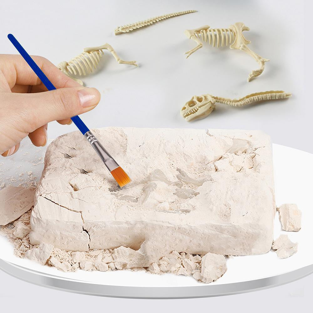 Dinosaur Excavation Kit with Fossil Dig Tools