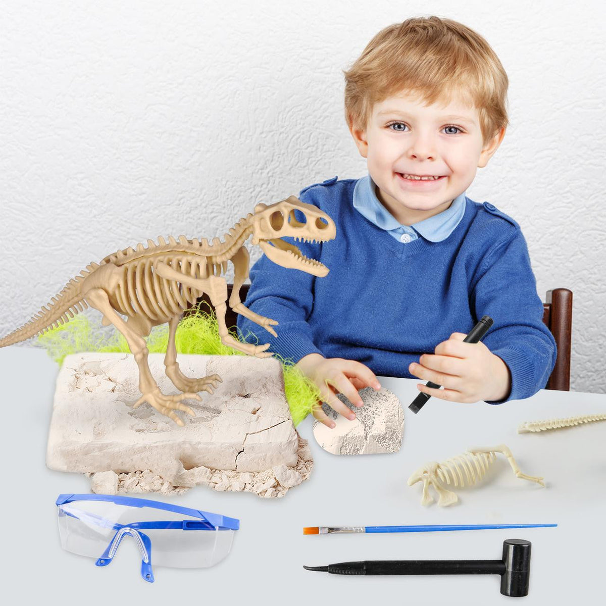 Dinosaur Excavation Kit with Fossil Dig Tools
