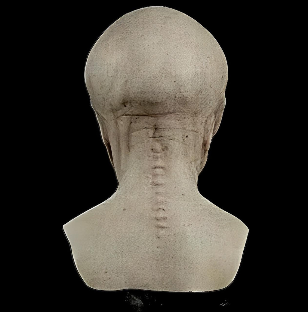 Alien Mask Realistic Full Head Silicone Costume