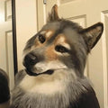 Wolf Mask Realistic with Moving Jaw and Detailed Fur