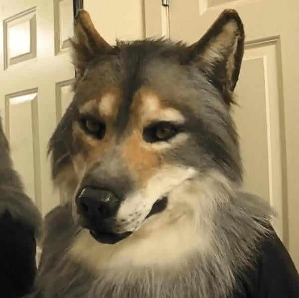 Wolf Mask Realistic with Moving Jaw and Detailed Fur