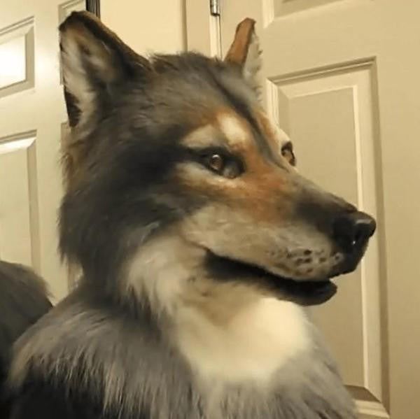 Wolf Mask Realistic with Moving Jaw and Detailed Fur