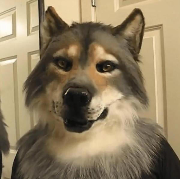 Wolf Mask Realistic with Moving Jaw and Detailed Fur