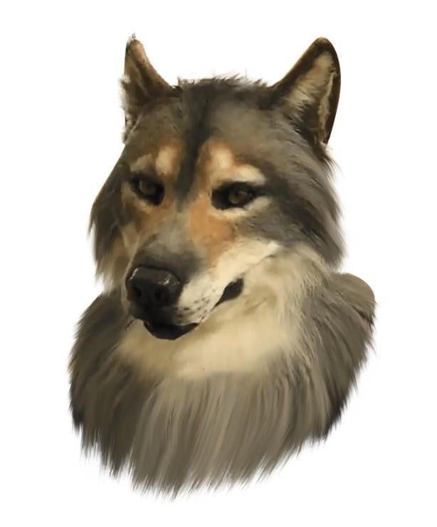 Wolf Mask Realistic with Moving Jaw and Detailed Fur