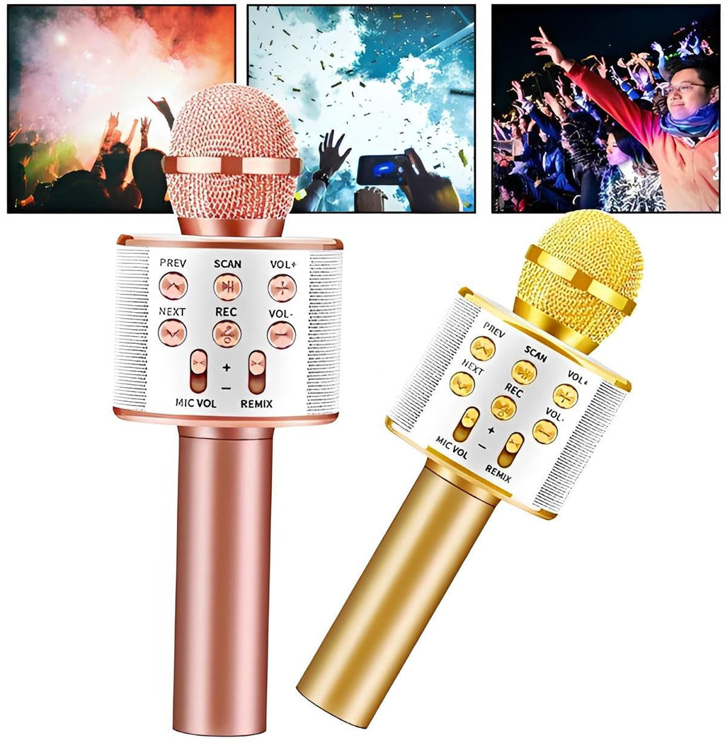 Wireless Karaoke Microphone with Bluetooth Speaker