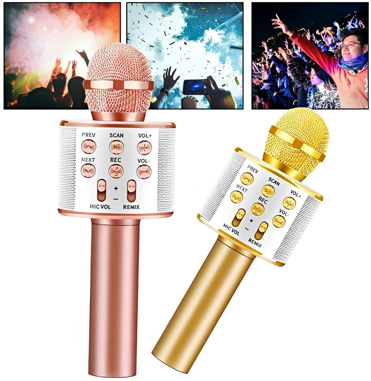 Wireless Karaoke Microphone with Bluetooth Speaker