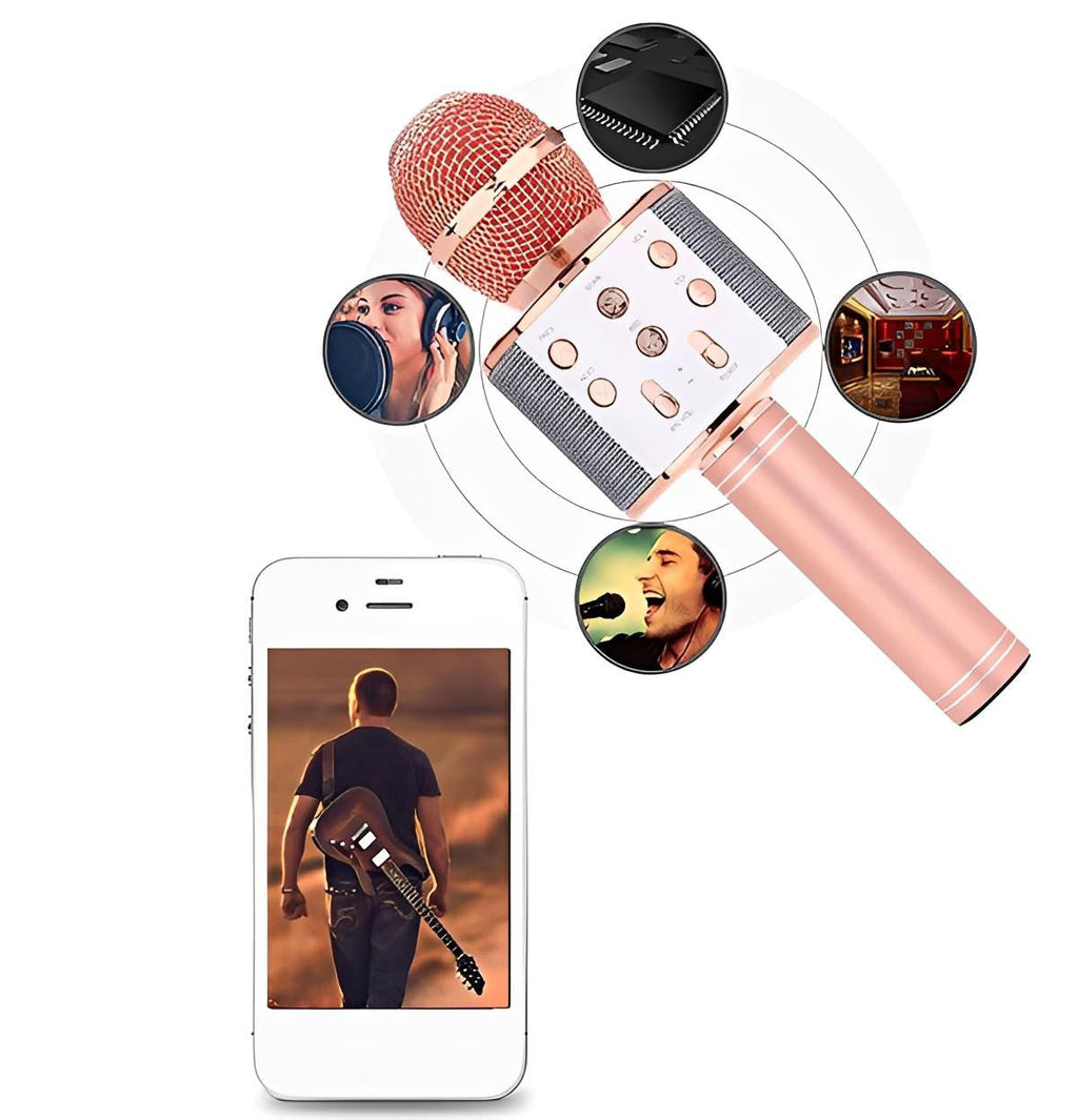 Wireless Karaoke Microphone with Bluetooth Speaker