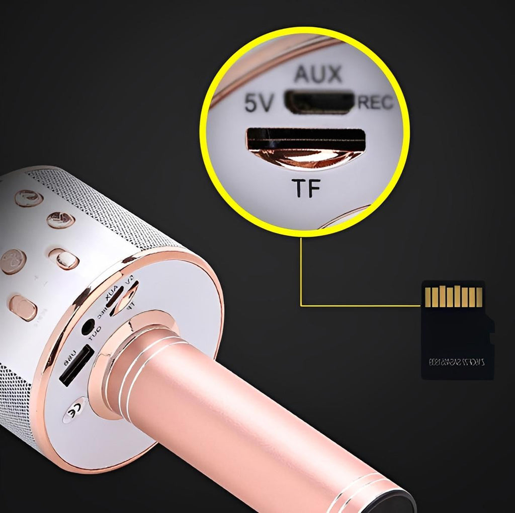 Wireless Karaoke Microphone with Bluetooth Speaker