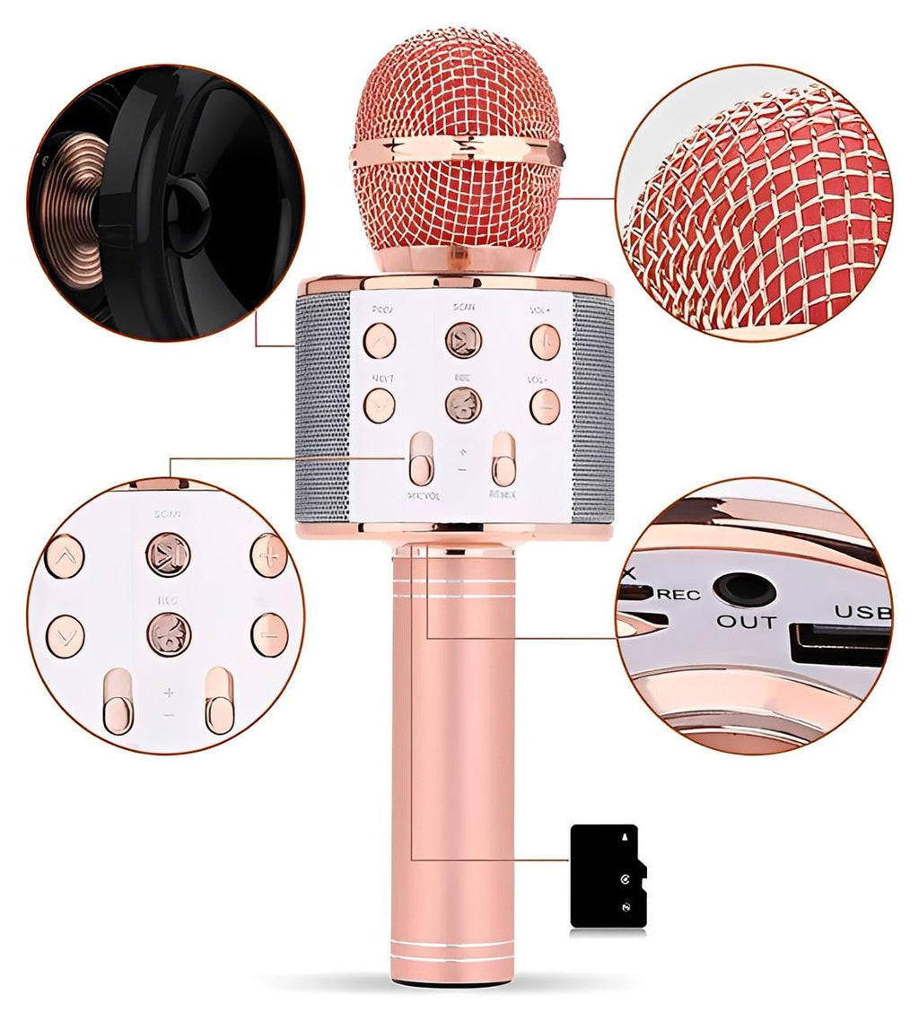 Wireless Karaoke Microphone with Bluetooth Speaker