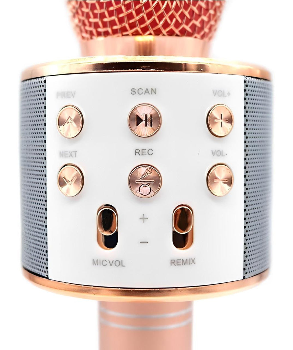 Wireless Karaoke Microphone with Bluetooth Speaker