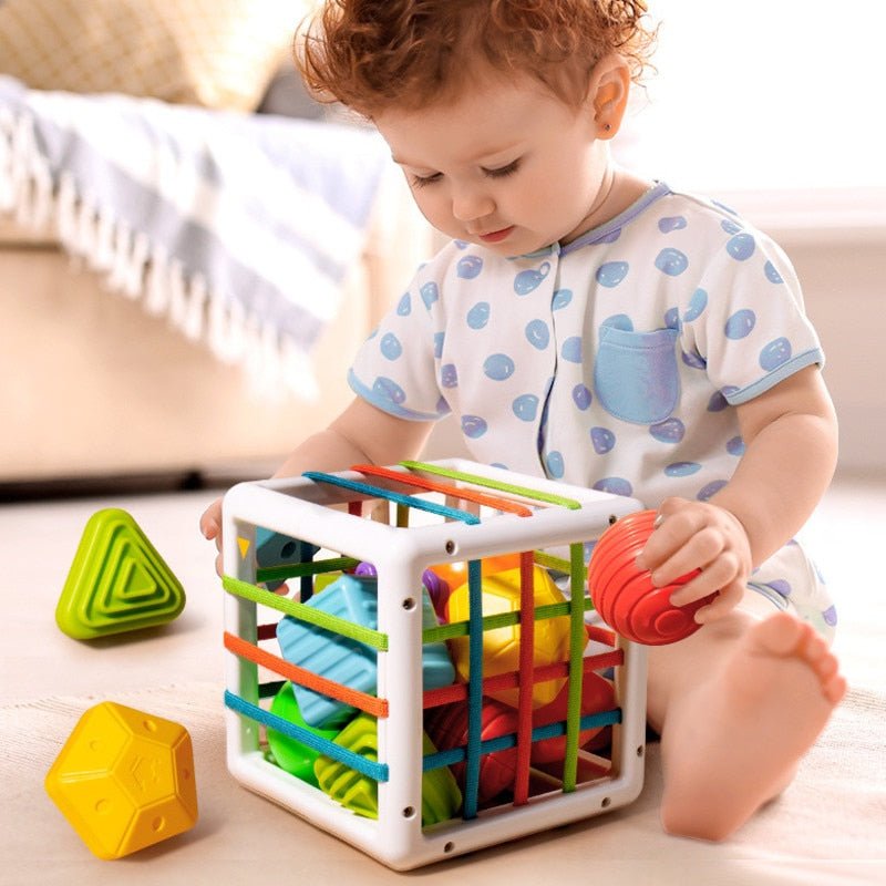 Shape Sorting Toy with 6 Textured Blocks and Elastic Strings