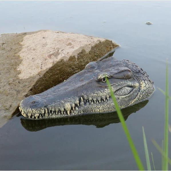 Remote Control Crocodile Head for Pool and Pond
