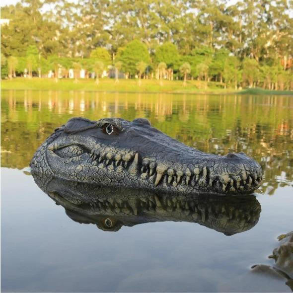 Remote Control Crocodile Head for Pool and Pond