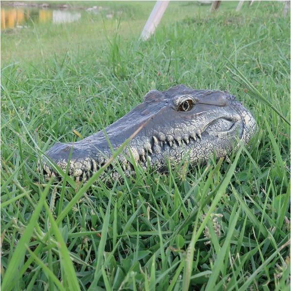 Remote Control Crocodile Head for Pool and Pond