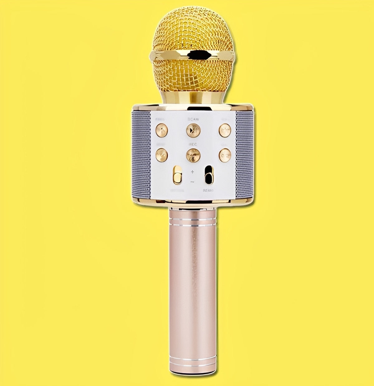 Wireless Karaoke Microphone with Bluetooth Speaker