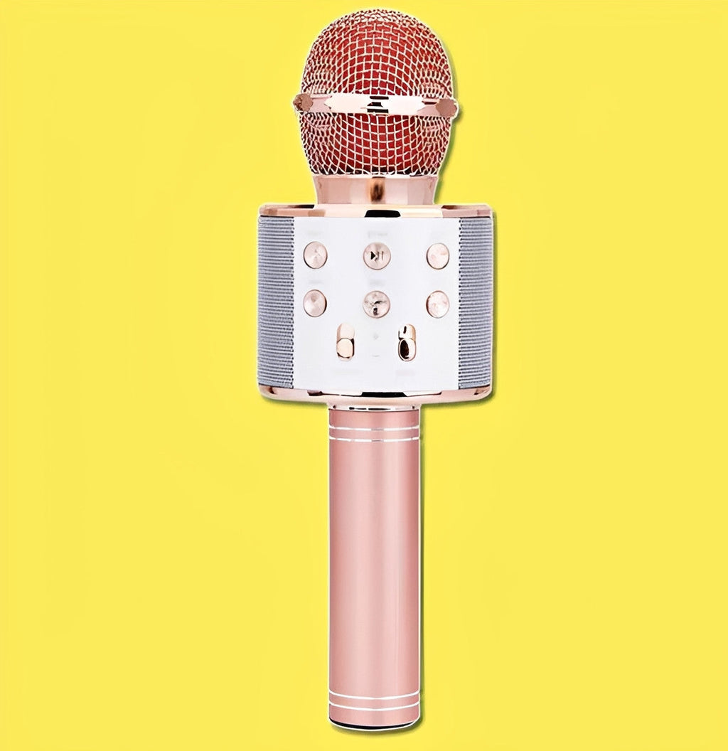 Wireless Karaoke Microphone with Bluetooth Speaker