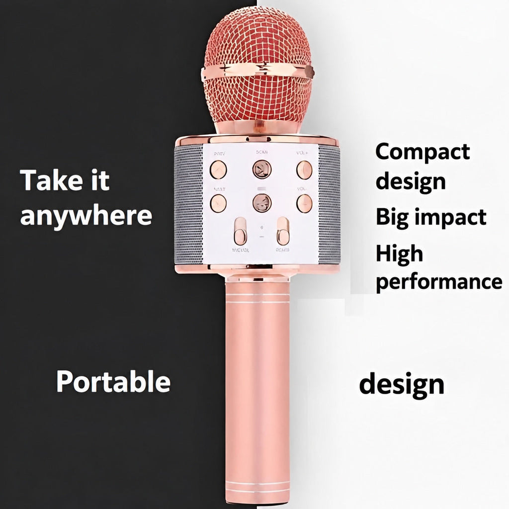 Wireless Karaoke Microphone with Bluetooth Speaker