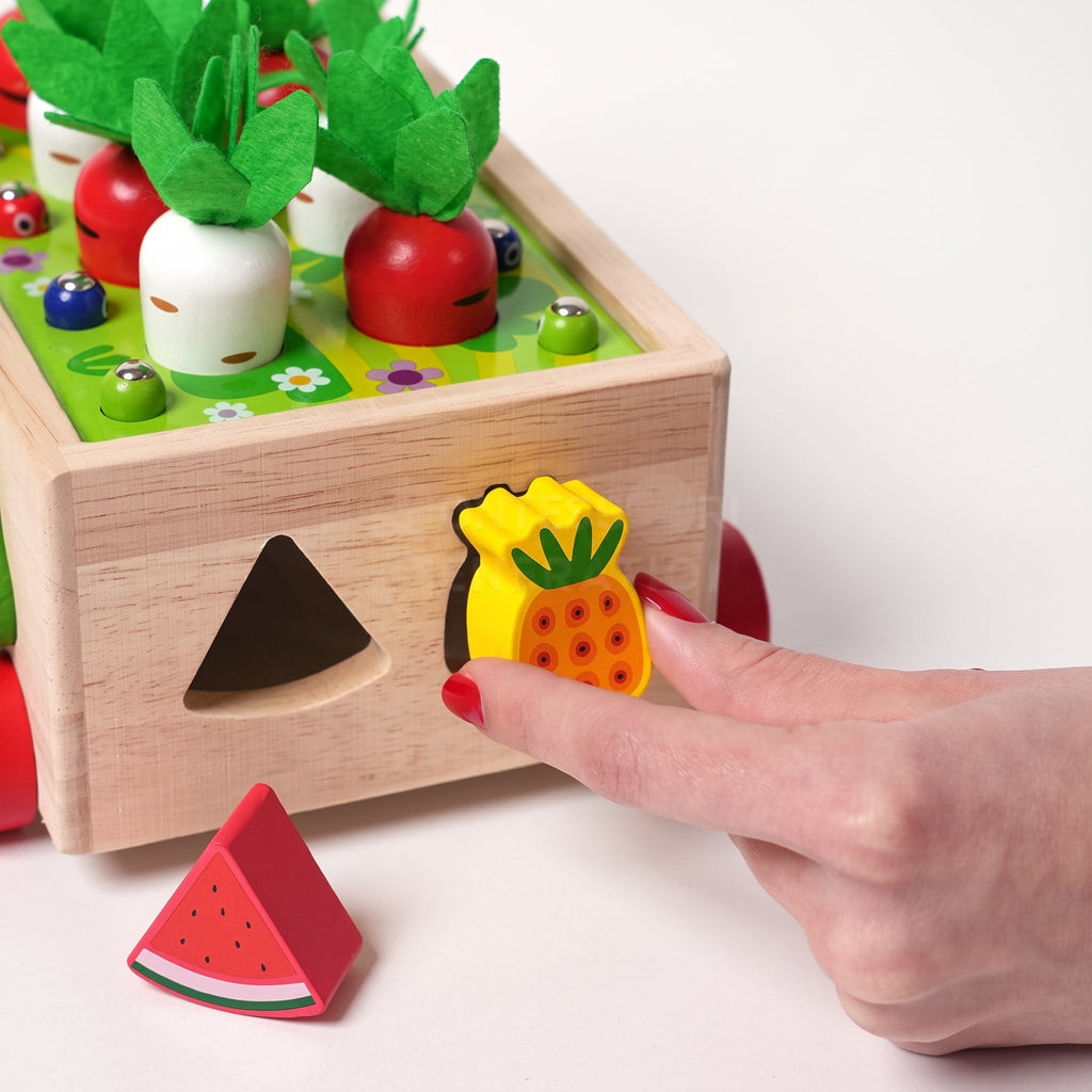 Wooden Shape Sorter Cart with Magnetic Worms and Vegetables