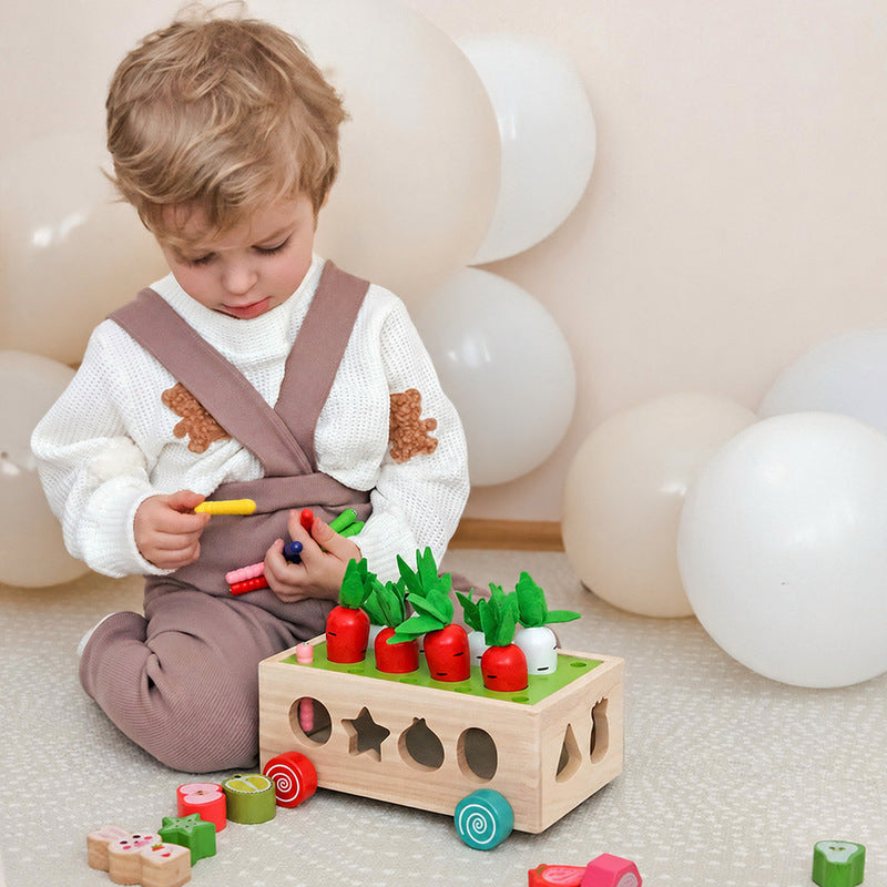 Wooden Shape Sorter Cart with Magnetic Worms and Vegetables
