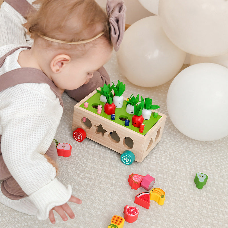 Wooden Shape Sorter Cart with Magnetic Worms and Vegetables