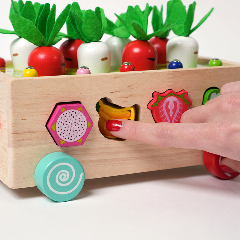 Wooden Shape Sorter Cart with Magnetic Worms and Vegetables