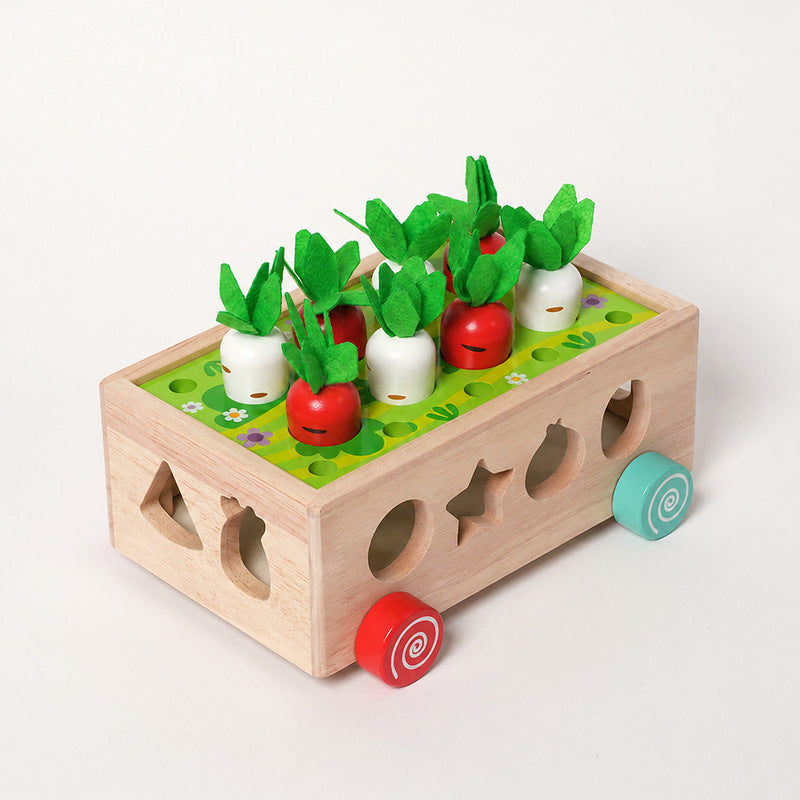 Wooden Shape Sorter Cart with Magnetic Worms and Vegetables