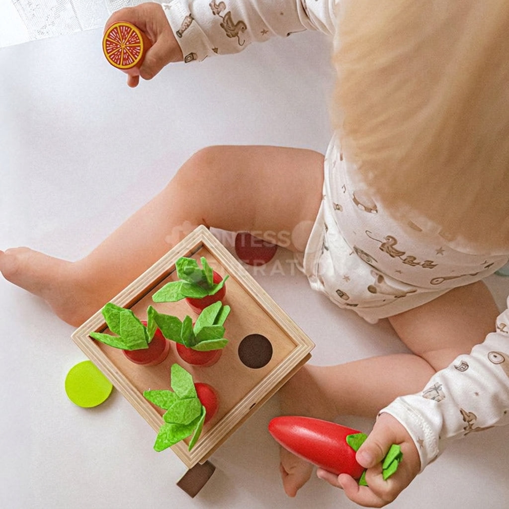 Wooden Sorting Toy, 6-in-1 Activity Box with Shapes